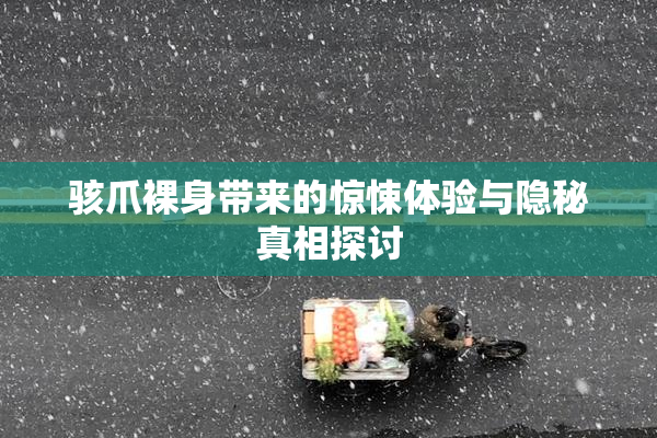 骇爪裸身带来的惊悚体验与隐秘真相探讨