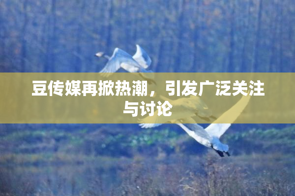 豆传媒再掀热潮，引发广泛关注与讨论