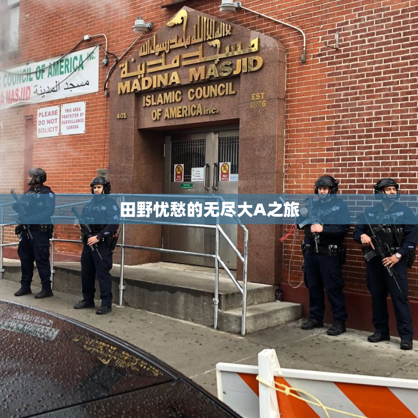 田野忧愁的无尽大A之旅