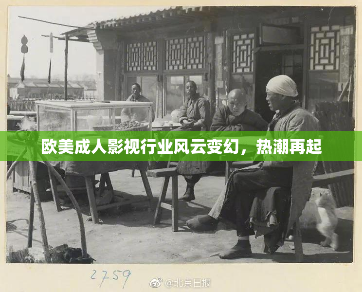 欧美成人影视行业风云变幻，热潮再起