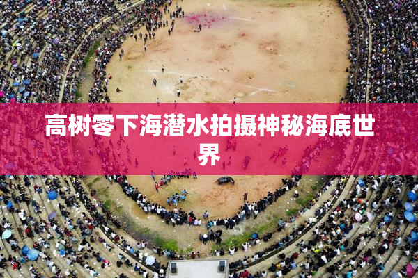 高树零下海潜水拍摄神秘海底世界