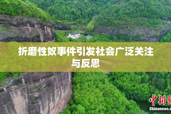 折磨性奴事件引发社会广泛关注与反思