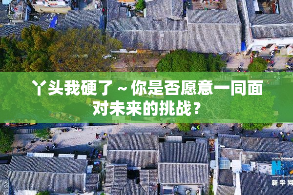 丫头我硬了～你是否愿意一同面对未来的挑战？