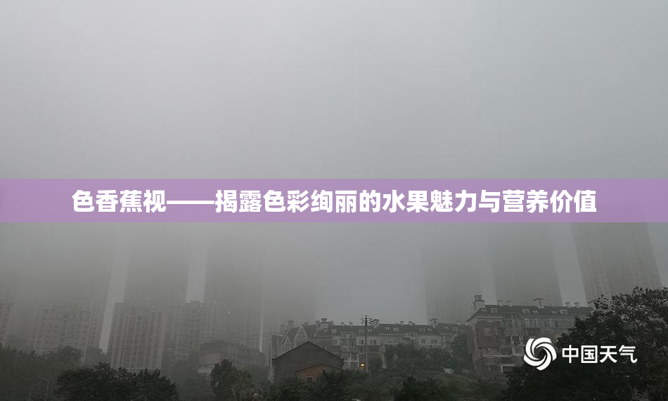色香蕉视——揭露色彩绚丽的水果魅力与营养价值