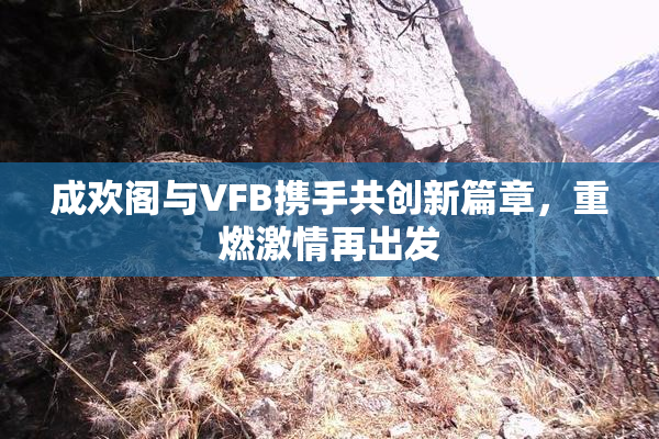 成欢阁与VFB携手共创新篇章，重燃激情再出发