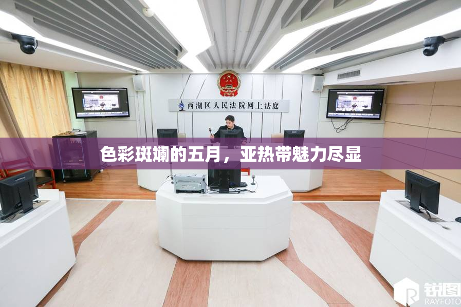 色彩斑斓的五月，亚热带魅力尽显