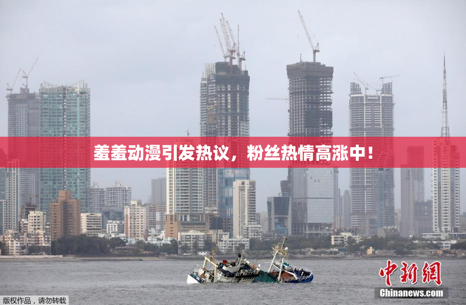 羞羞动漫引发热议，粉丝热情高涨中！