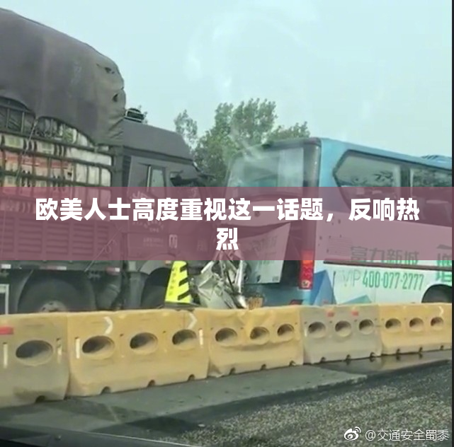欧美人士高度重视这一话题，反响热烈