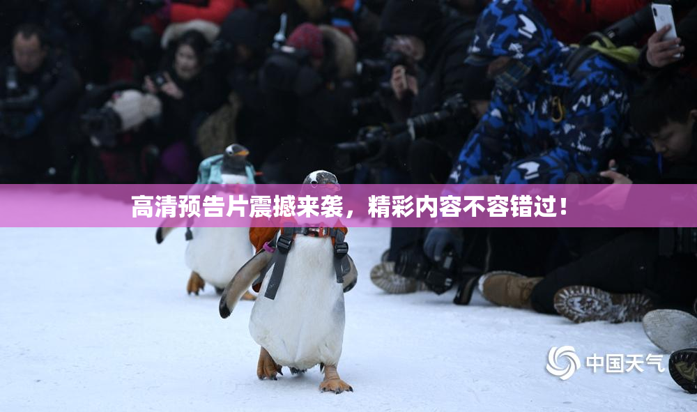高清预告片震撼来袭，精彩内容不容错过！