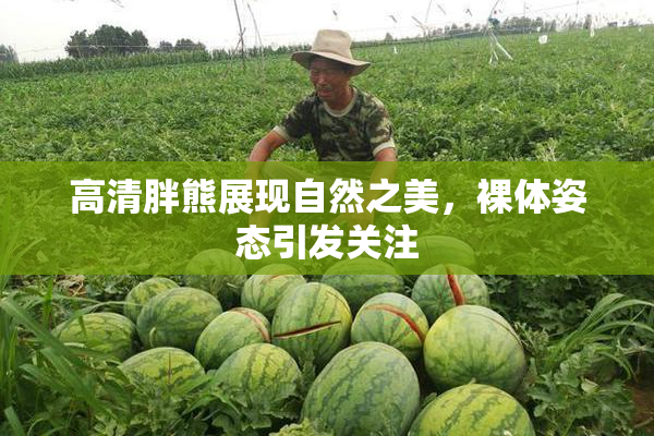 高清胖熊展现自然之美，裸体姿态引发关注