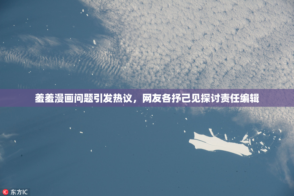 羞羞漫画问题引发热议，网友各抒己见探讨责任编辑