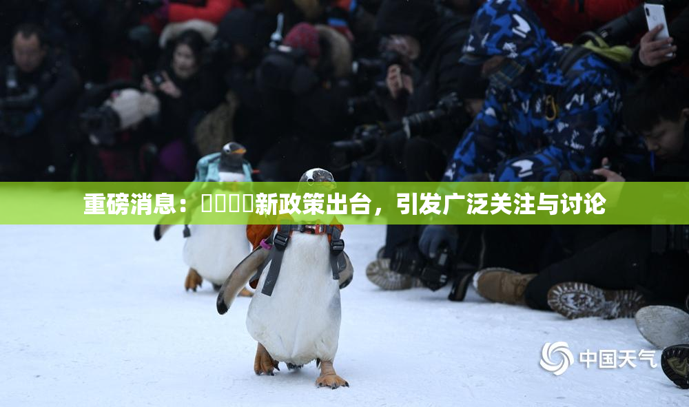 重磅消息：馃悢馃悢新政策出台，引发广泛关注与讨论
