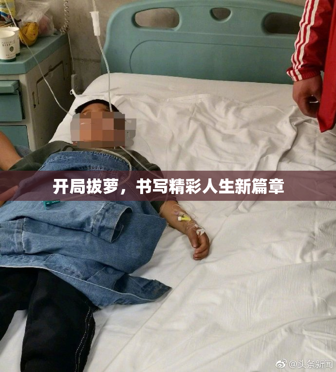 开局拔萝，书写精彩人生新篇章