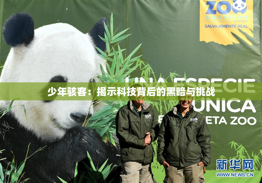 少年骇客：揭示科技背后的黑暗与挑战