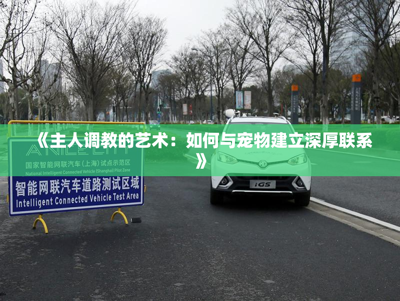 《主人调教的艺术：如何与宠物建立深厚联系》