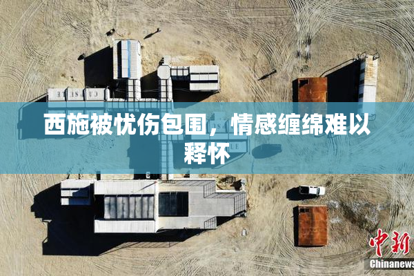 西施被忧伤包围，情感缠绵难以释怀