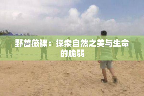 野蔷薇裸：探索自然之美与生命的脆弱