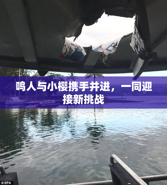 鸣人与小樱携手并进，一同迎接新挑战