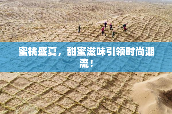 蜜桃盛夏，甜蜜滋味引领时尚潮流！