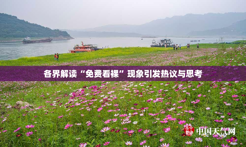 各界解读“免费看裸”现象引发热议与思考