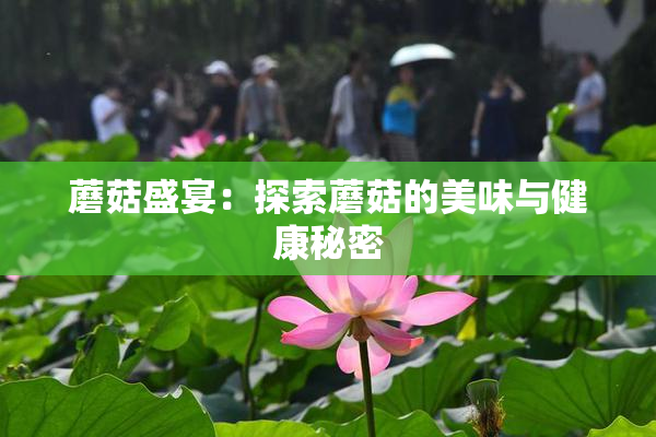 蘑菇盛宴：探索蘑菇的美味与健康秘密