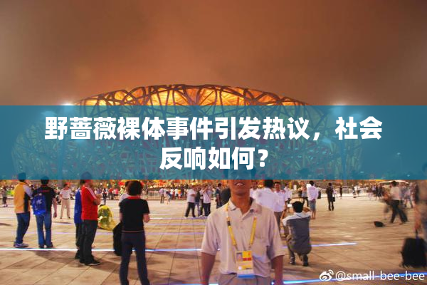 野蔷薇裸体事件引发热议，社会反响如何？