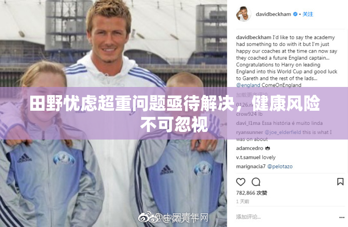 田野忧虑超重问题亟待解决，健康风险不可忽视