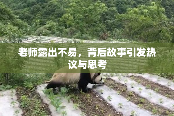 老师露出不易，背后故事引发热议与思考
