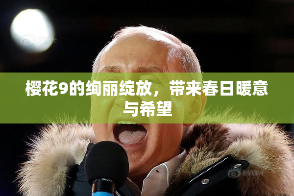 樱花9的绚丽绽放，带来春日暖意与希望