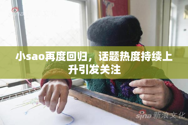 小sao再度回归，话题热度持续上升引发关注