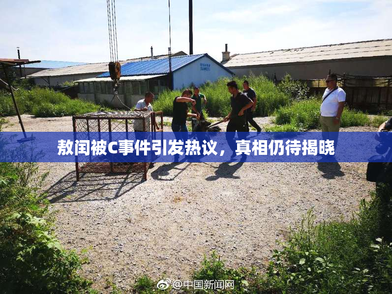 敖闰被C事件引发热议，真相仍待揭晓