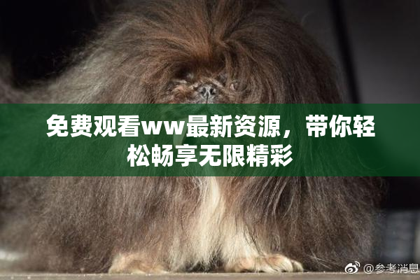 免费观看ww最新资源，带你轻松畅享无限精彩