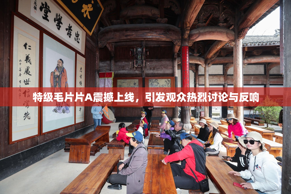 特级毛片片A震撼上线，引发观众热烈讨论与反响