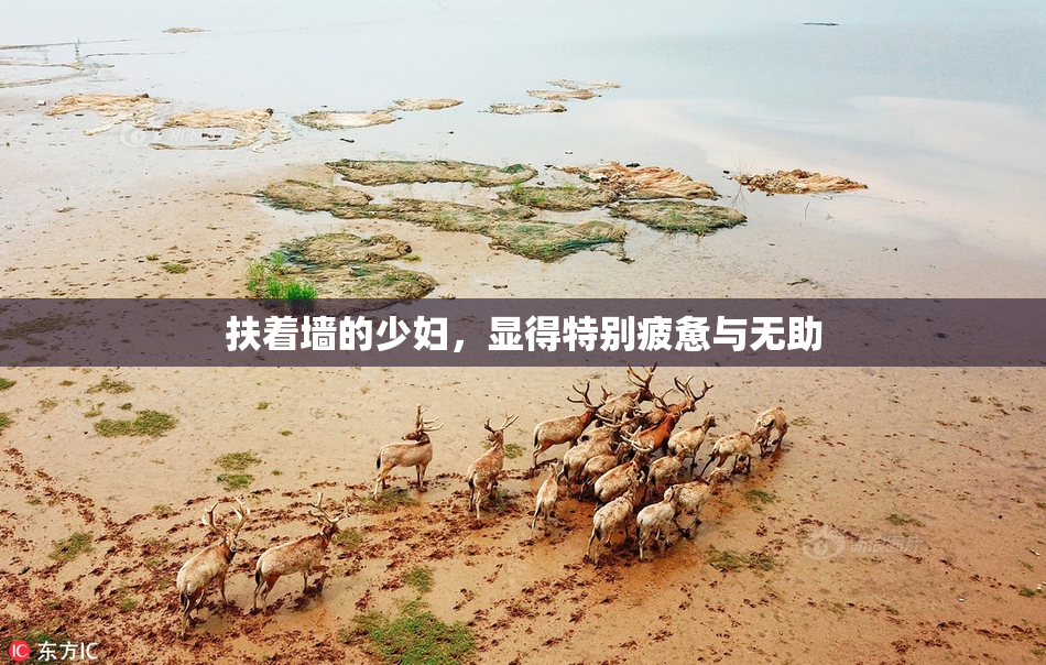 扶着墙的少妇，显得特别疲惫与无助