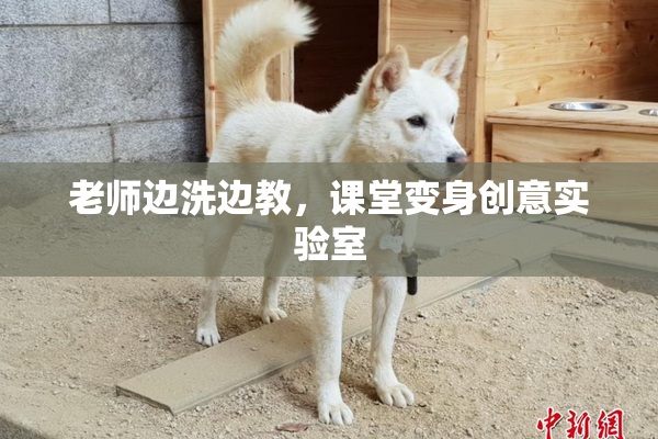 老师边洗边教，课堂变身创意实验室