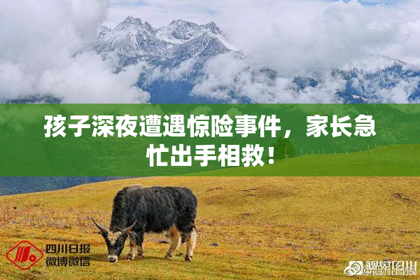 孩子深夜遭遇惊险事件，家长急忙出手相救！