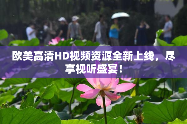 欧美高清HD视频资源全新上线，尽享视听盛宴！