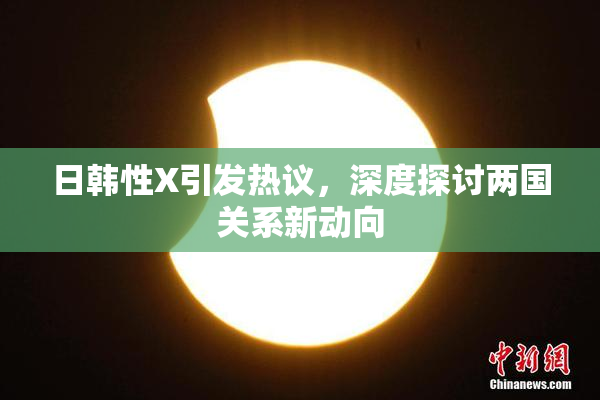 日韩性X引发热议，深度探讨两国关系新动向