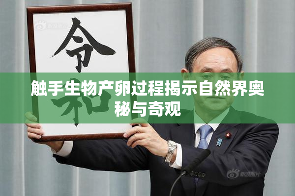 触手生物产卵过程揭示自然界奥秘与奇观