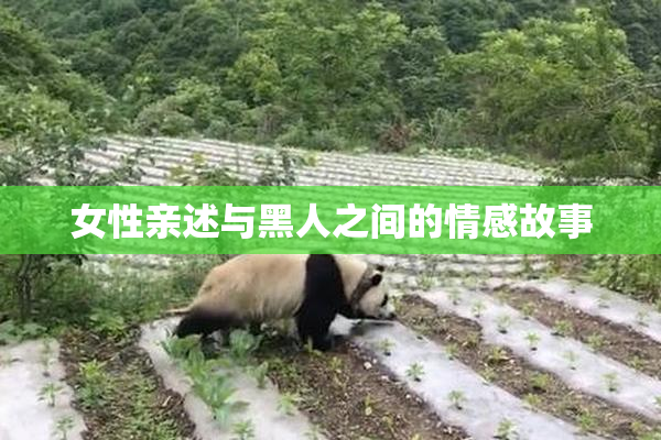 女性亲述与黑人之间的情感故事
