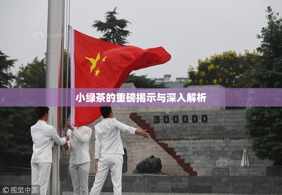 小绿茶的重磅揭示与深入解析