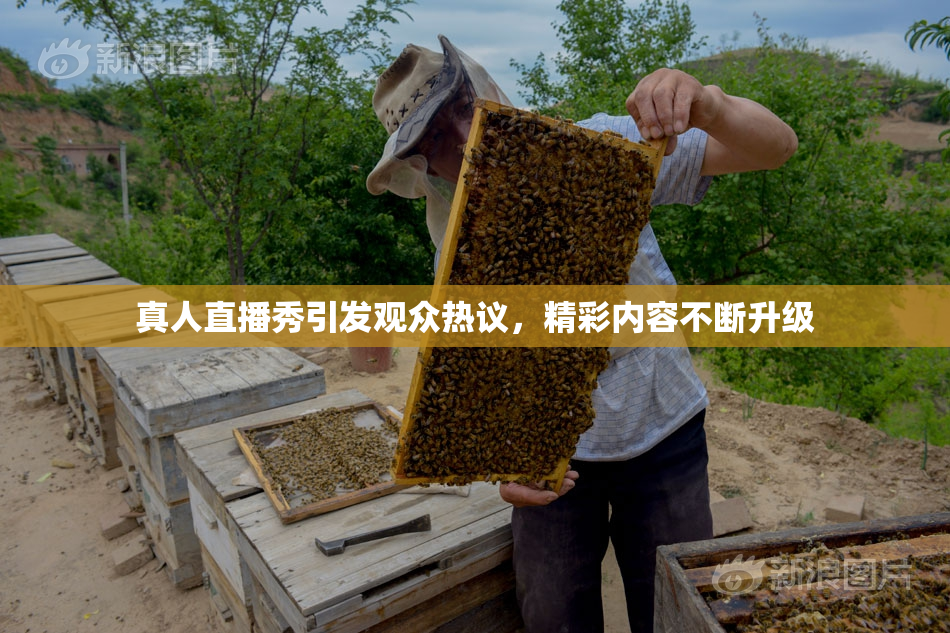 真人直播秀引发观众热议，精彩内容不断升级