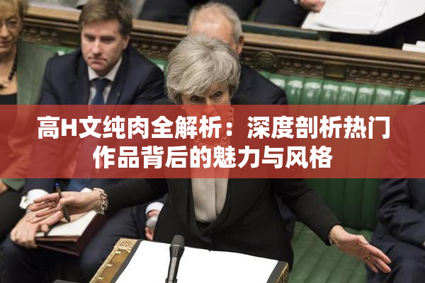 高H文纯肉全解析：深度剖析热门作品背后的魅力与风格