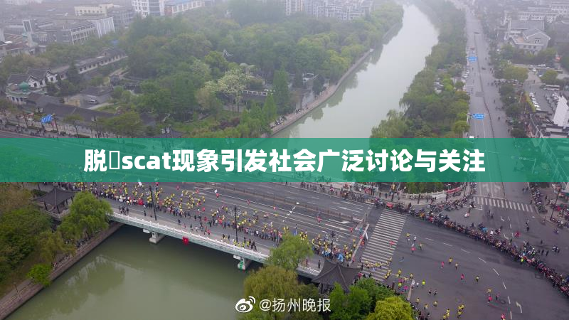 脱糞scat现象引发社会广泛讨论与关注