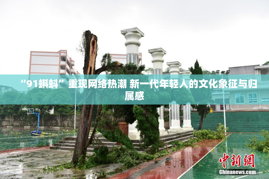 “91蝌蚪”重现网络热潮 新一代年轻人的文化象征与归属感