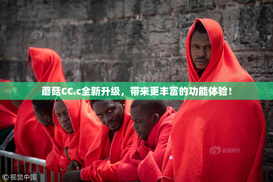 蘑菇CC.c全新升级，带来更丰富的功能体验！