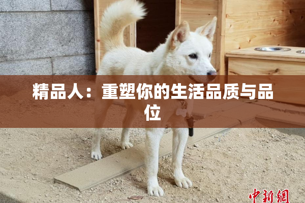 精品人：重塑你的生活品质与品位