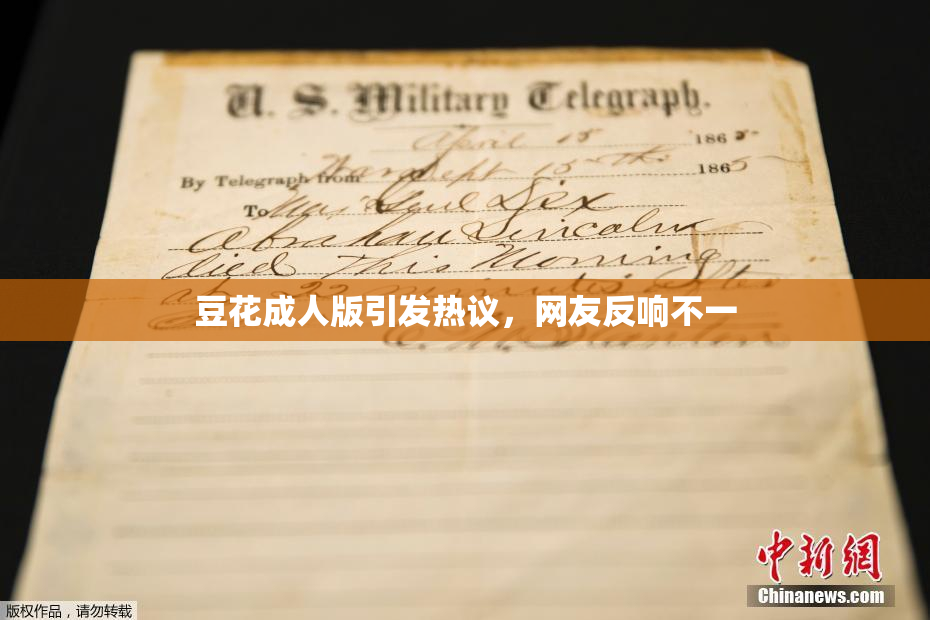 豆花成人版引发热议，网友反响不一