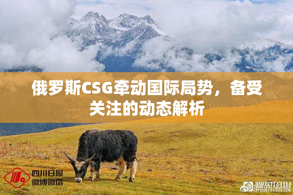 俄罗斯CSG牵动国际局势，备受关注的动态解析