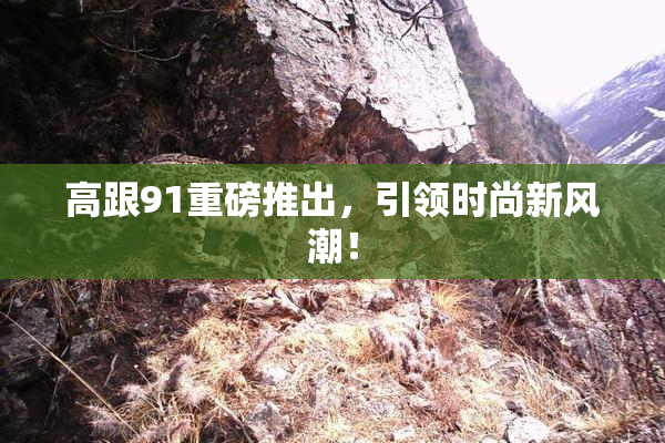 高跟91重磅推出，引领时尚新风潮！